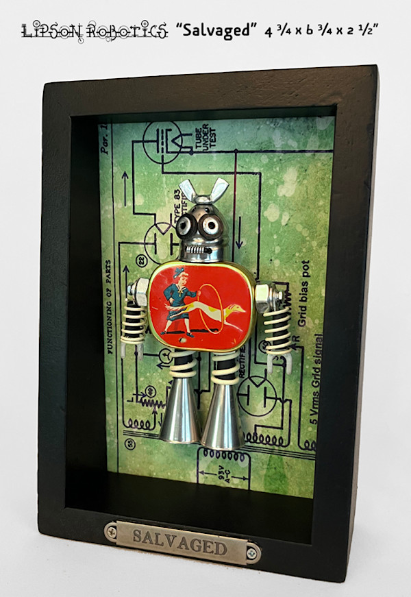 Salvaged by David Lipson