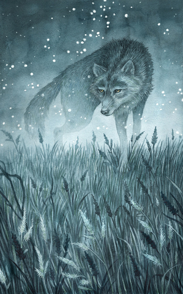 Shadow Wolf by Adam Oehlers
