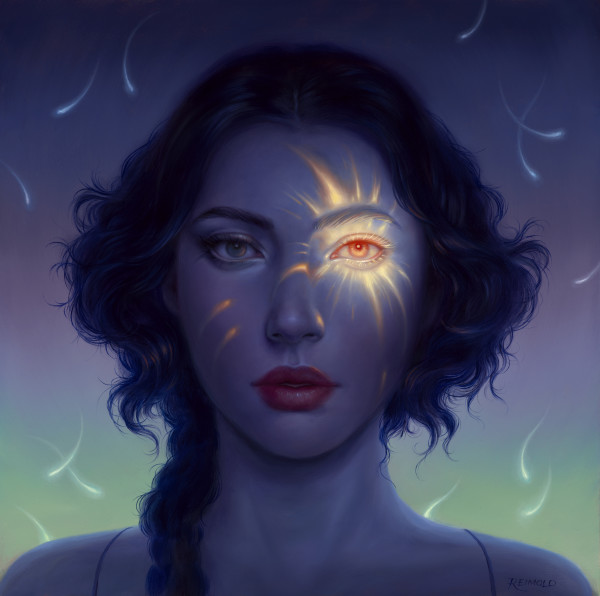 The Spark of Wonder by Allison Reimold