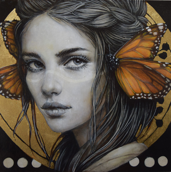 Butterfly 1 by Sophie Wilkins