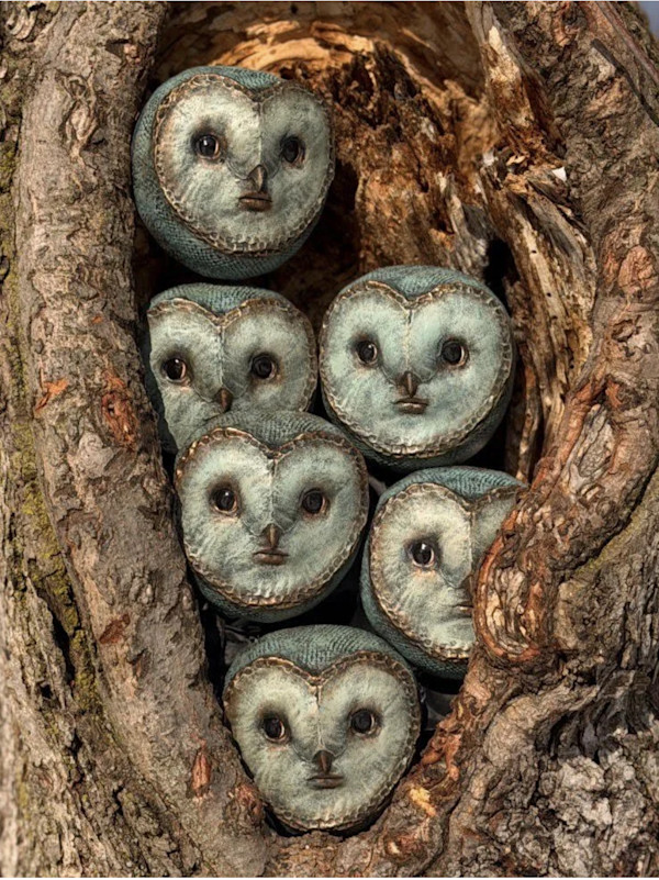 "Owl 3" Series 1 by Scott Radke, Image 1.