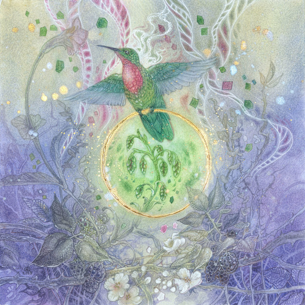 Hummingbird by Stephanie Law