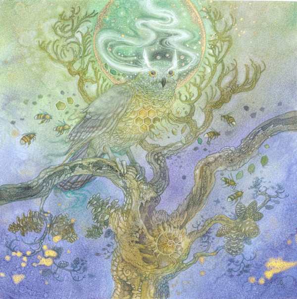 Owl by Stephanie Law