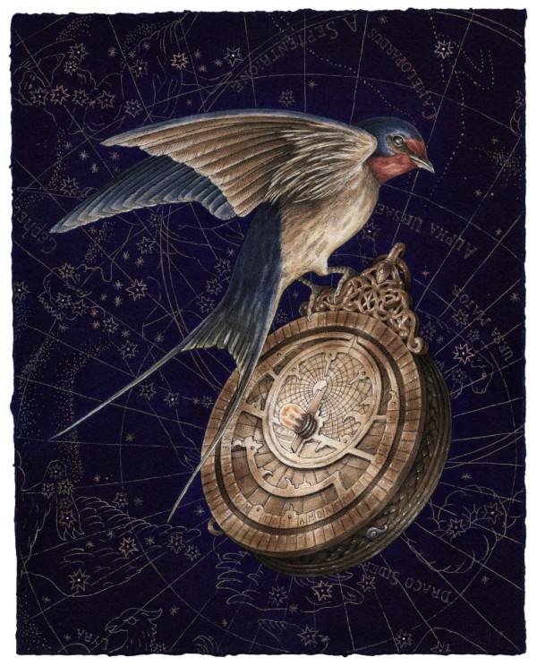 Astrolabe 2 by Steeven Salvat