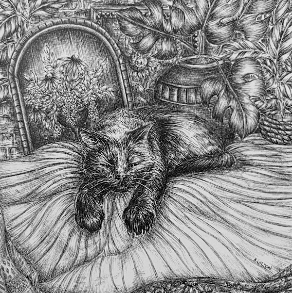 Daydreams by Anna Wilson