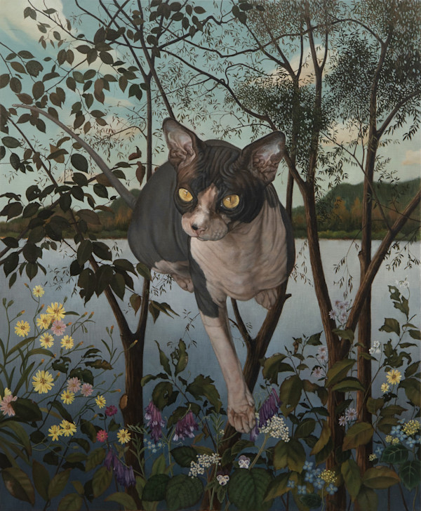 A Sphynx Cat by Cho Hyeon Jung