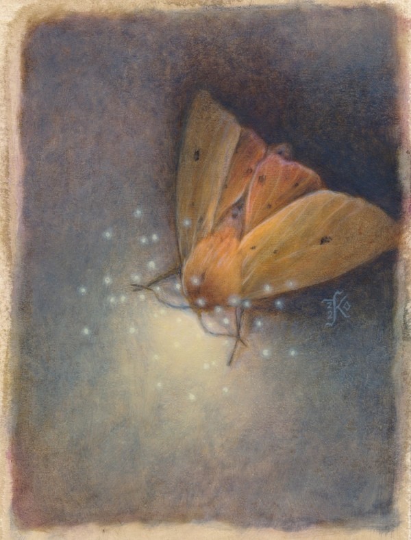 Isabella Hawk Moth by Kaysha Siemens