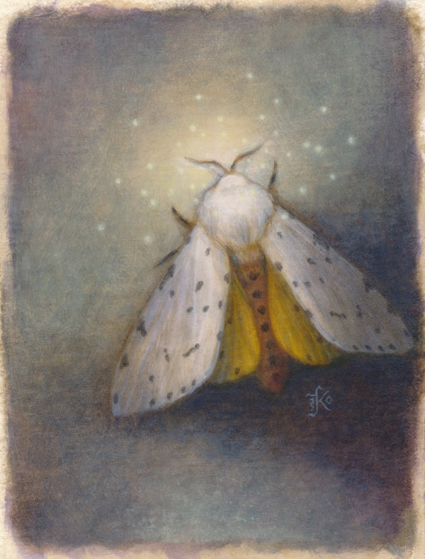 Salt Marsh Moth by Kaysha Siemens