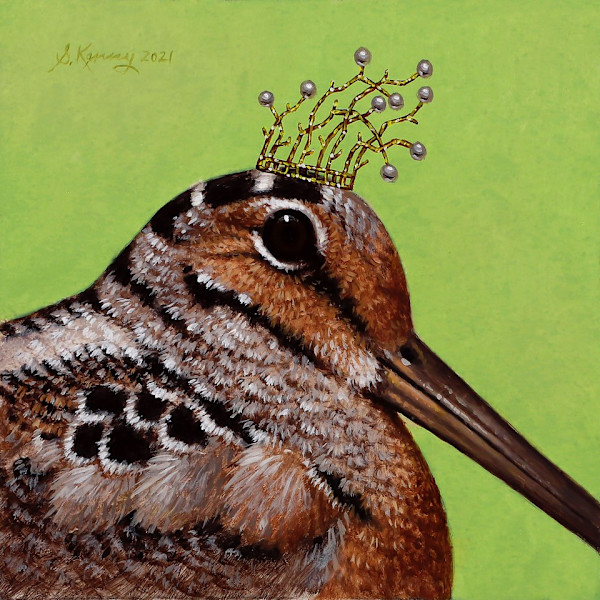 Royal Woodcock by Steven Kenny
