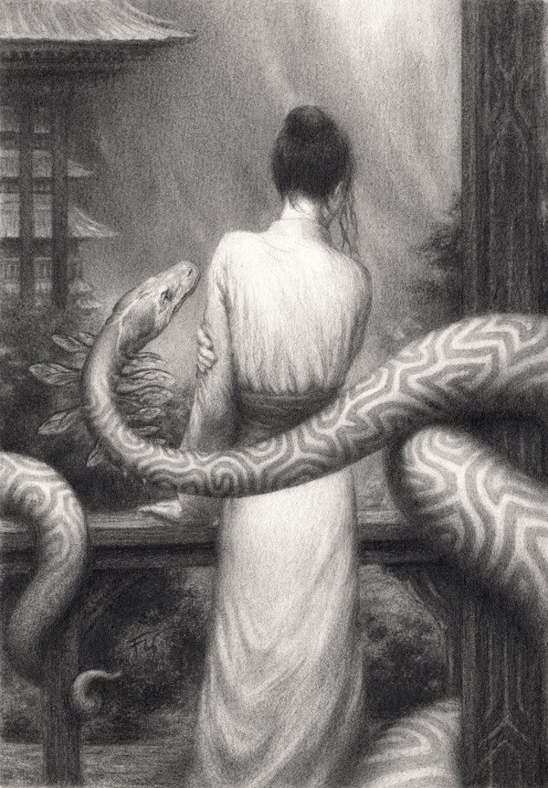 Taedia by Petra Frank
