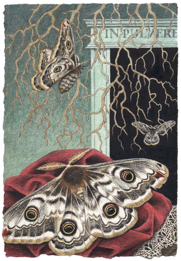 NACHTFALTER (FOR DANA) by Madeline von Foerster
