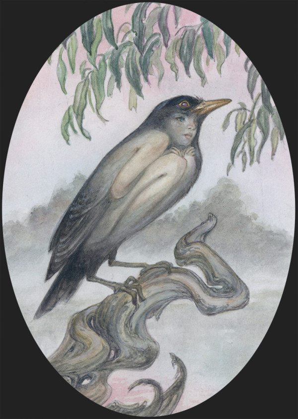 Bird Jin by Hope Doe