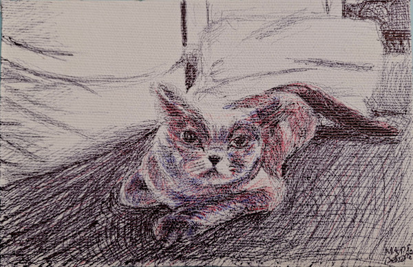 Cute Cat ? by Marie Désert, Image 1.