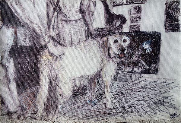 Amazing Dog by Marie Désert