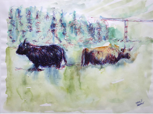 Vache Highlands II by Marie Désert
