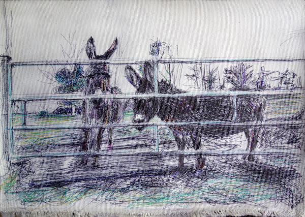 Clever Donkeys by Marie Désert