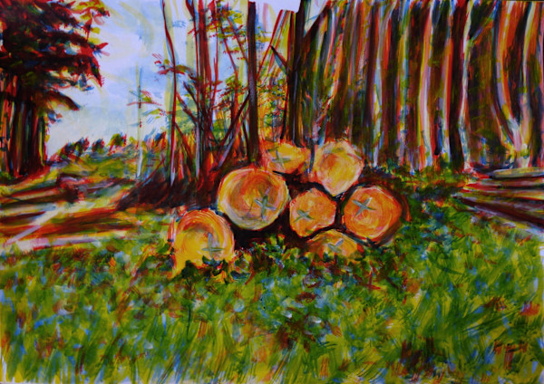 Déforestation by Marie Désert