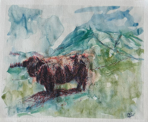 Tissu - Vache Highlands by Marie Désert