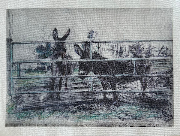 Tissu - Clever Donkeys by Marie Désert