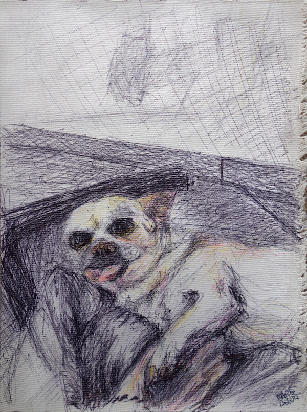 Lovely Dog II by Marie Désert