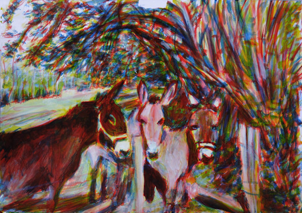 Trois ânes by Marie Désert