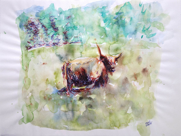 Vache Highlands I by Marie Désert
