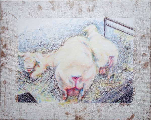 Nos amis animaux V by Marie Désert
