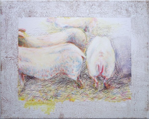 Nos amis animaux IV by Marie Désert