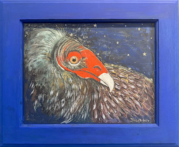 Turkey Vulture by Jennifer Taylor, Image 2.