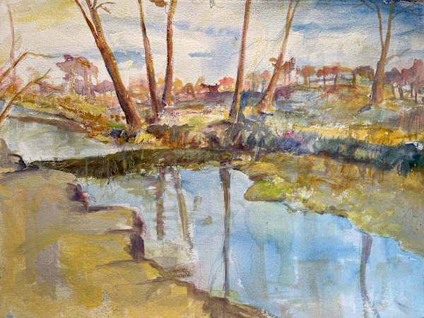 HoCo Conservancy - Beaver Dam by Elaine Weiner-Reed