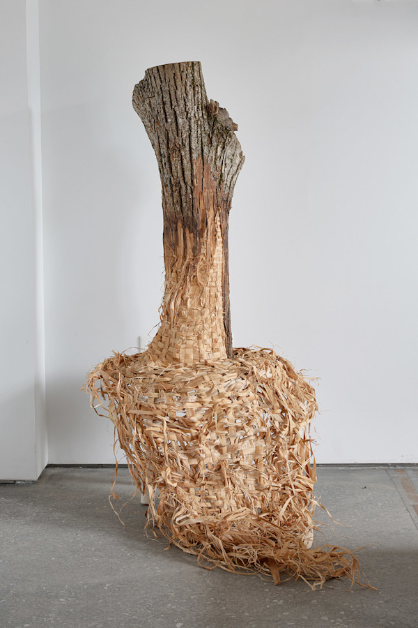 Untitled by Katie Grove, Image 3.