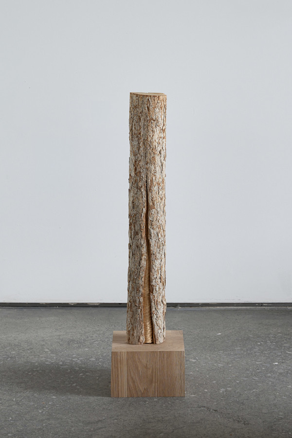 Rift/Repair by Katie Grove, Image 3.