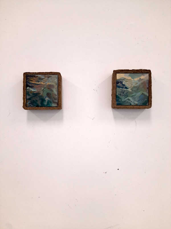 Big Swim and Little Swim by Nicole Steenhof