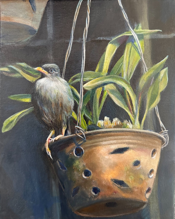 Echoes From A Hanging Garden by Pei-Tse Goh