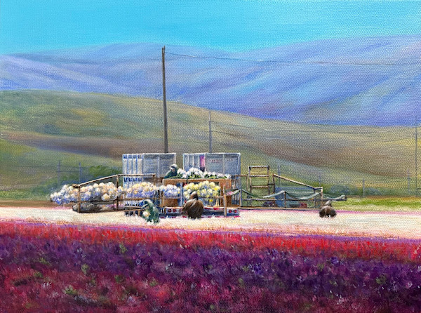Flower Harvesting At Lompoc, California by Pei-Tse Goh