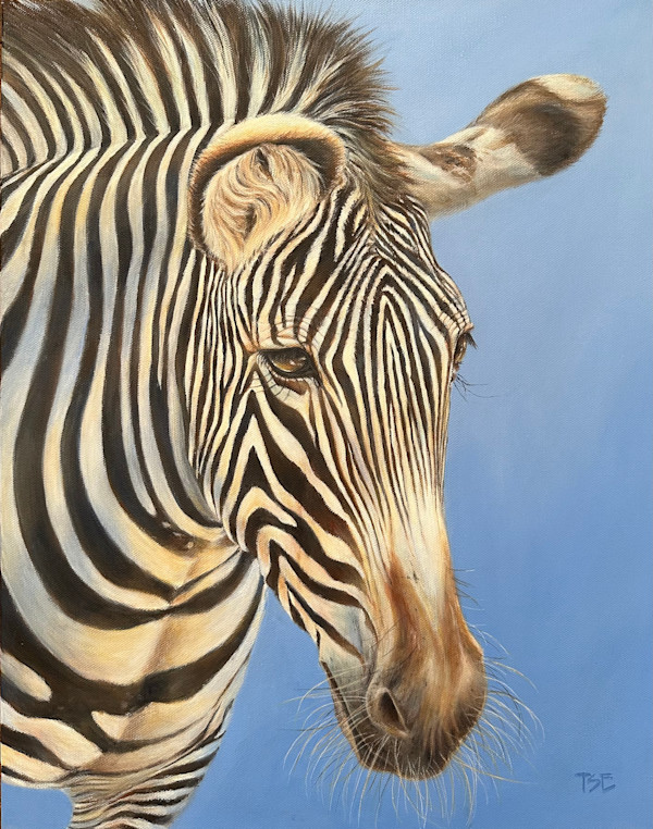 Grevy’s Zebra by Pei-Tse Goh