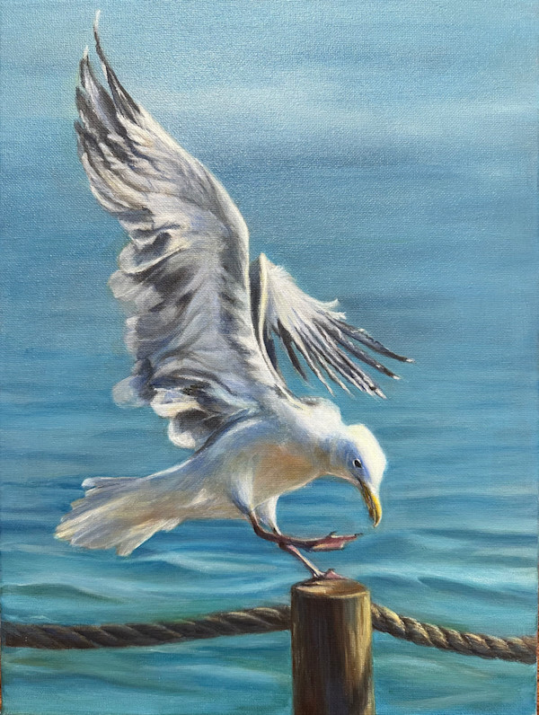 The Majestic Landing by Pei-Tse Goh