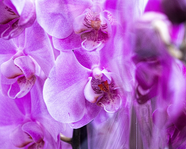 Reflection #1 by Izzie Burke