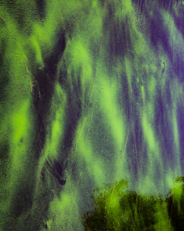 Dreams In The Greens #1 by Cordelia Cornish