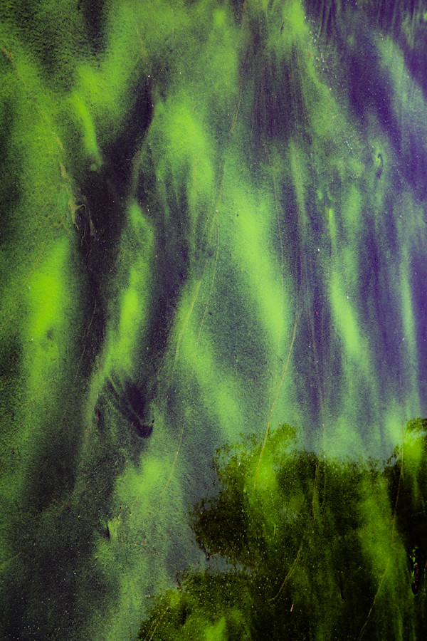 Dreams In The Greens #3 by Cordelia Cornish