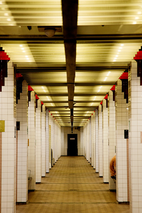 Passage Of Echoes #1 by Cordelia Cornish