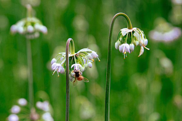 Working Alone #2 by Sylas Demming