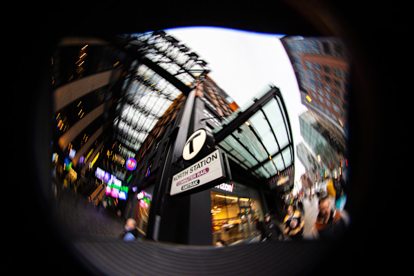 Gateway To Garden by Thanh Le