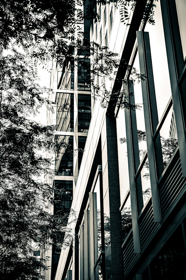 Near Elucid #2 by Ladan