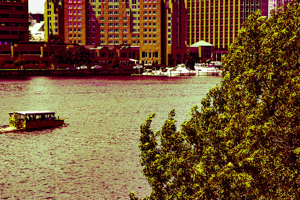 Golden Voyage #3 by Elijah "Jah" Otero