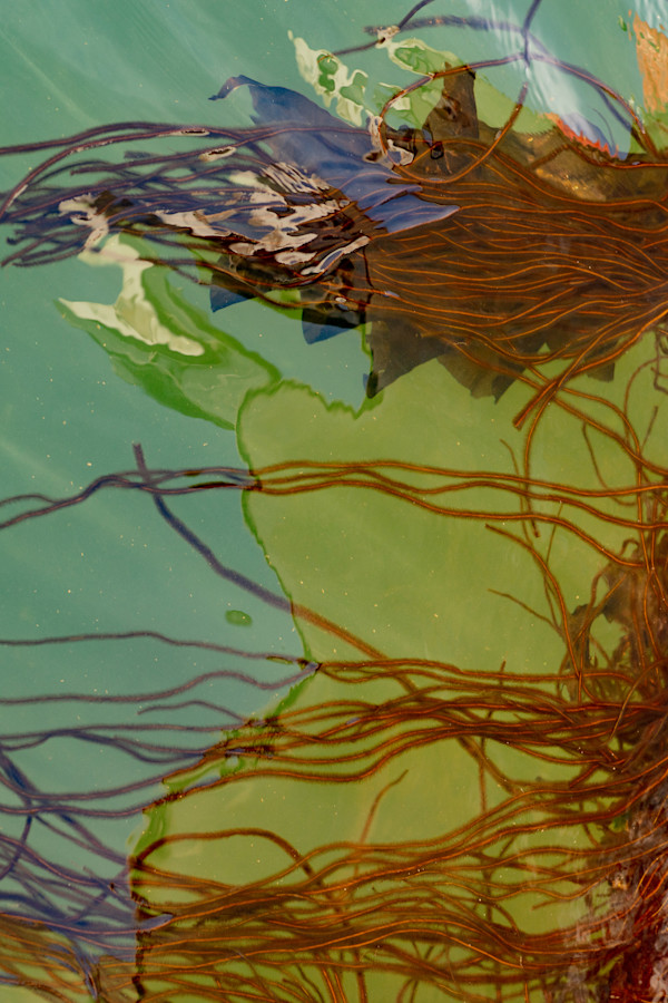 Current Of Color #1 by Jonas