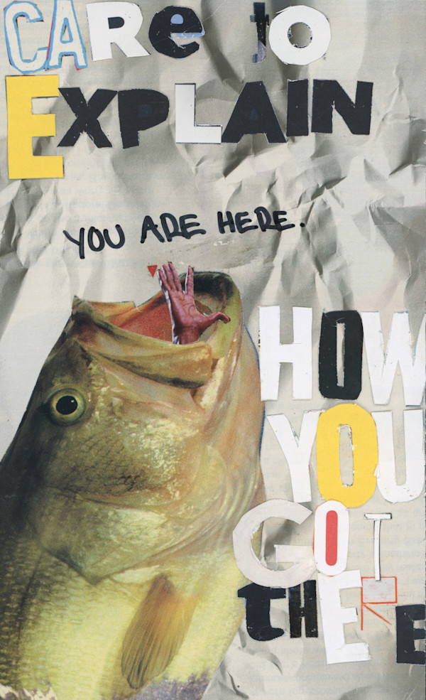 Stuck In A Fishy Situation by Camila Rosado, Image 1.