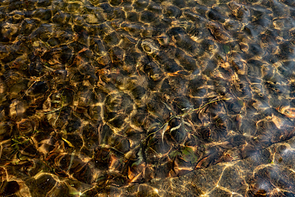 Serenity #3 by Maiyara Tavares