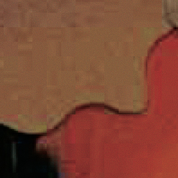 A Desert's Nose by Tamara Yampolsky