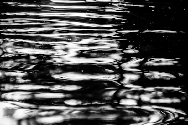 Untitled by Elizabeth Willie
